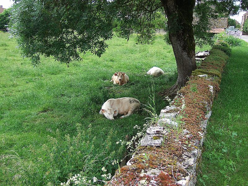 2010-05- (43).JPG